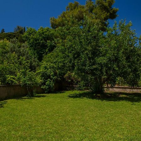Villa Lygia Lygia  Dış mekan fotoğraf